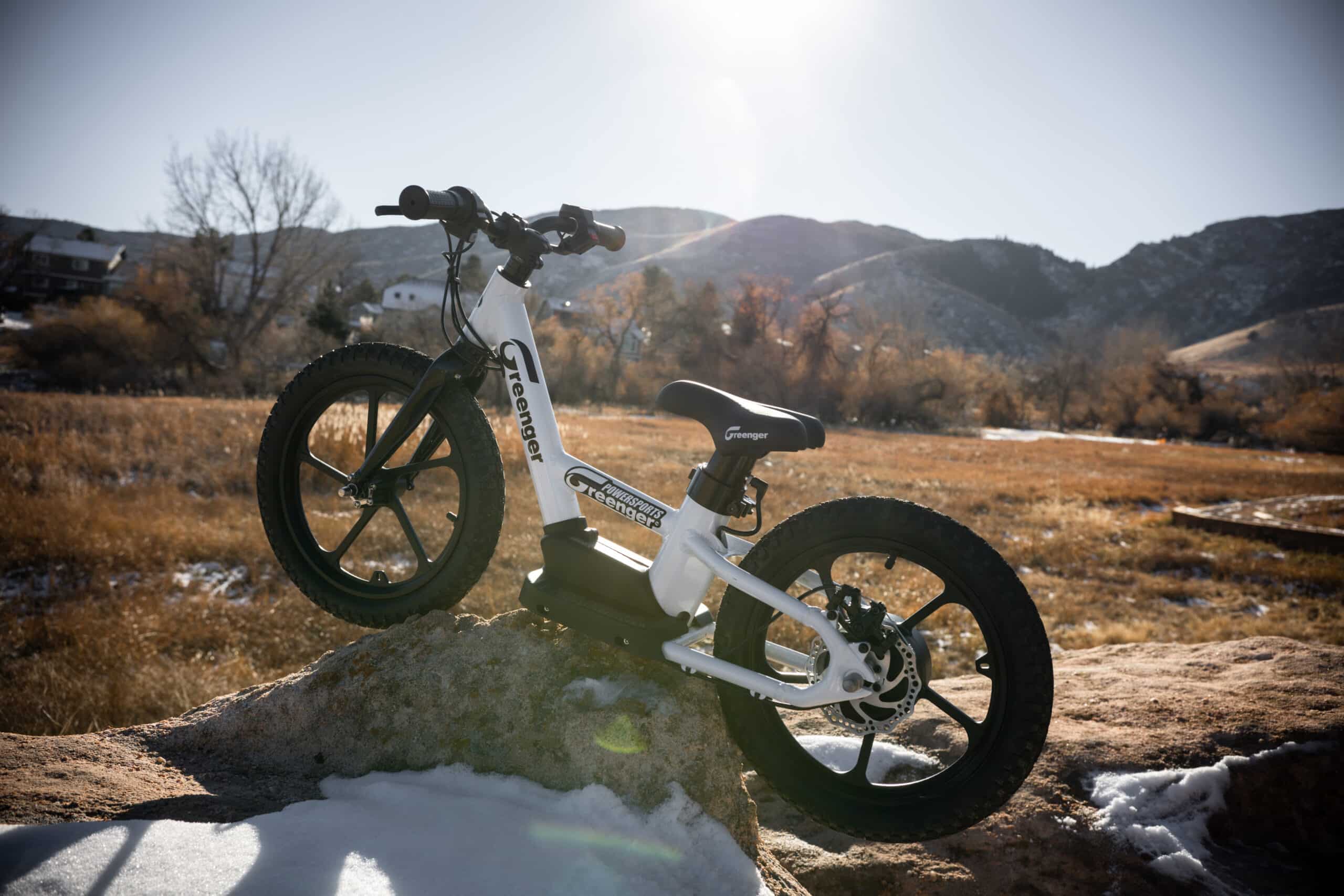 Greenger Saddleback Electric Bike
